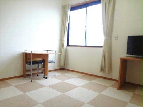 13/14 その他画像