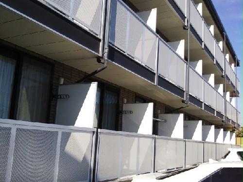 11/14 その他画像