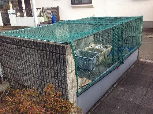 9/18 その他画像