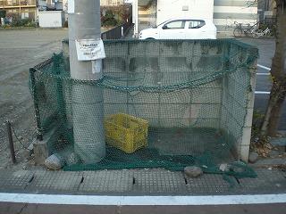 11/14 その他画像