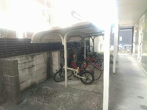 11/14 その他画像