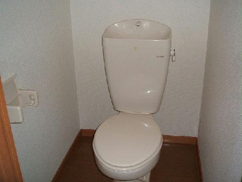 6/11 トイレ