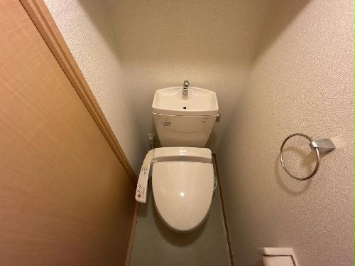 8/16 その他画像