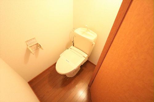 11/14 その他画像