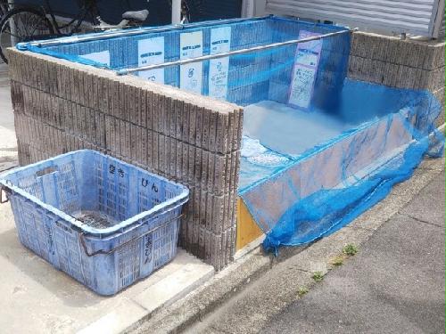 9/14 その他画像