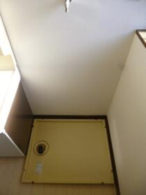 5/16 その他画像