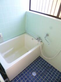 6/16 その他画像