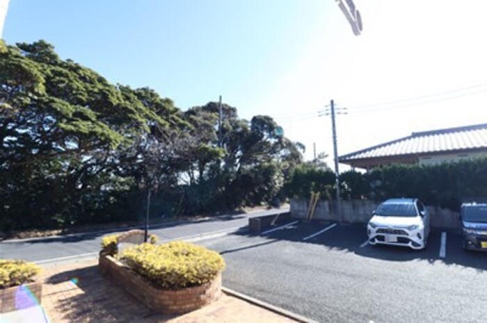 17/20 その他画像