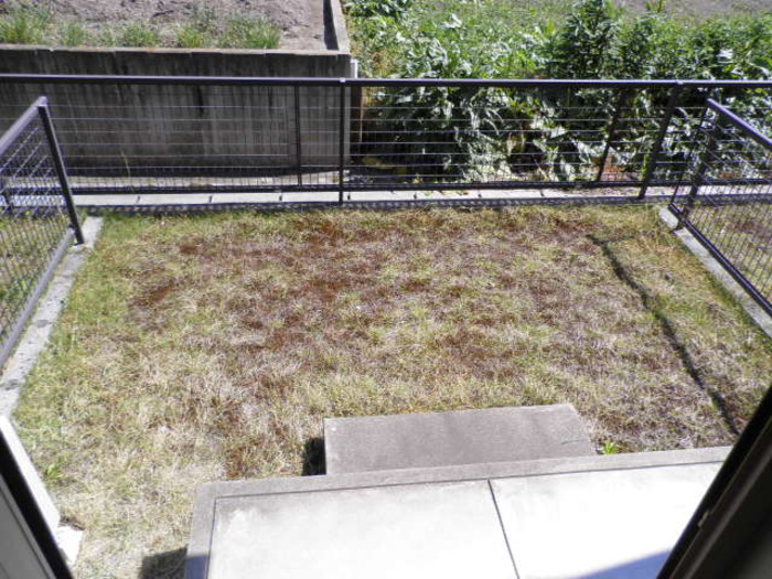 11/26 その他画像