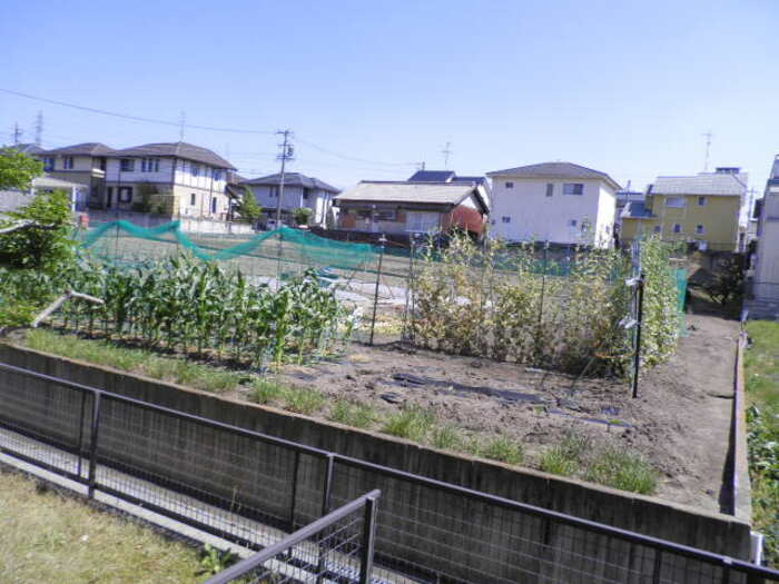 14/26 その他画像