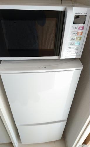 7/18 その他画像