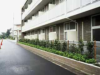 6/12 その他画像