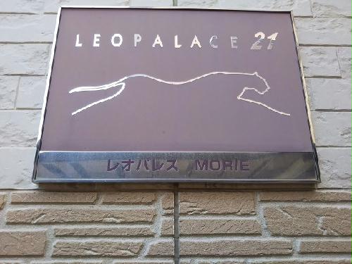 13/21 その他画像