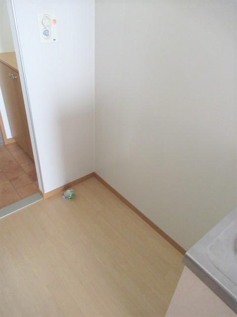 8/17 その他画像