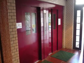 11/11 その他画像