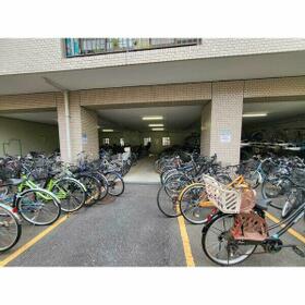 8/11 その他画像