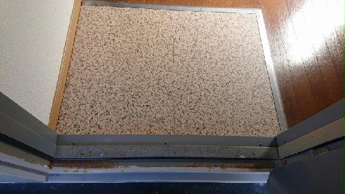 8/14 その他画像