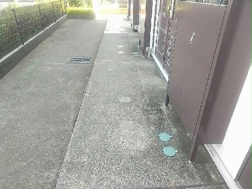 10/23 その他画像