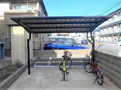 11/17 その他画像