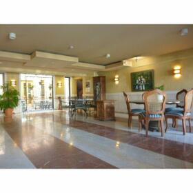 3/13 その他画像