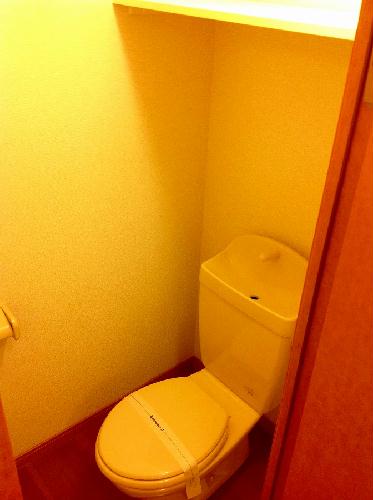 8/11 その他画像