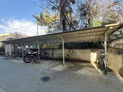 11/15 その他画像