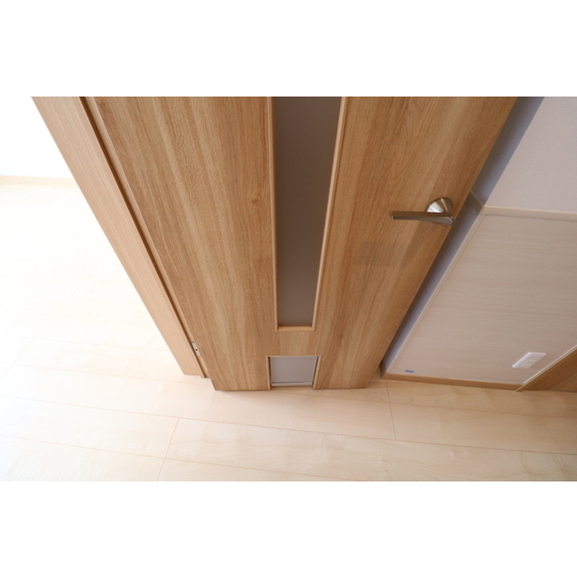 8/12 その他画像