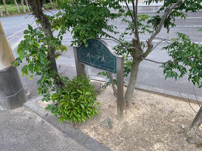 12/18 その他画像