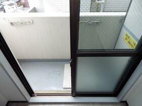 11/11 その他画像