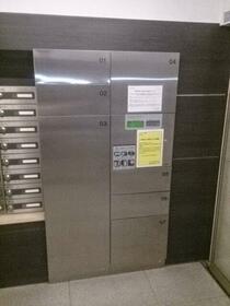 14/16 その他画像