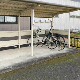 5/11 その他画像