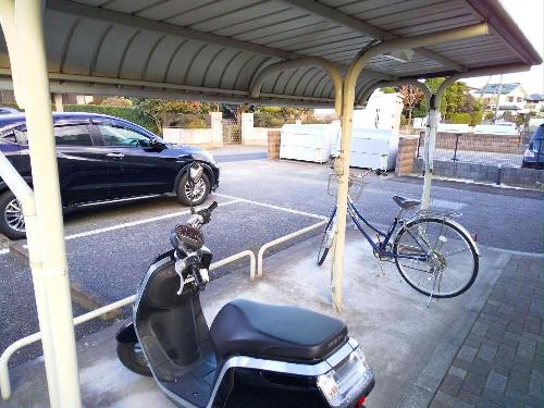 8/12 その他画像