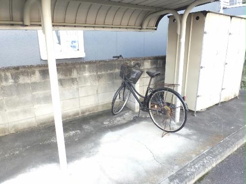 12/14 その他画像