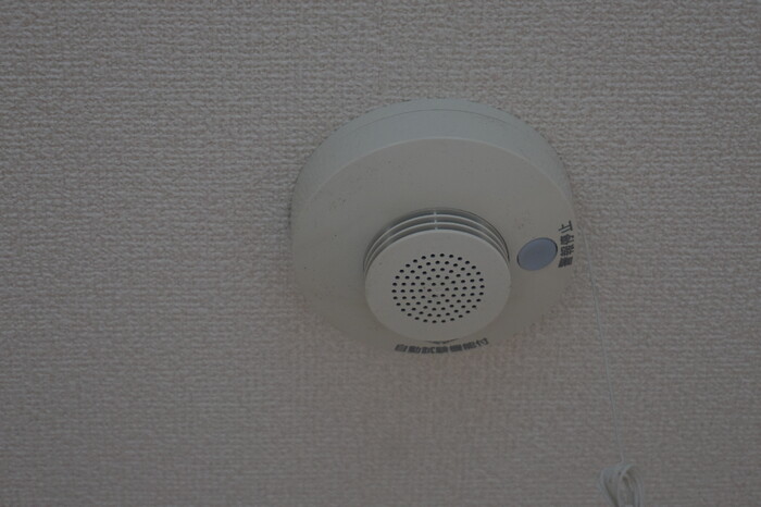 12/15 その他画像