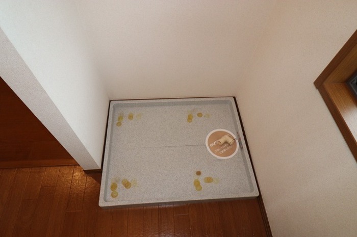 12/23 その他画像