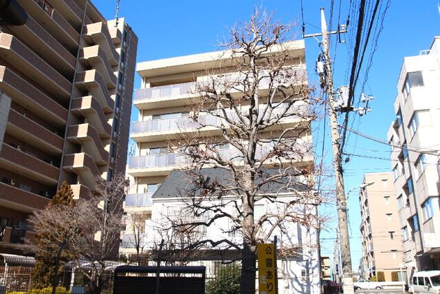 19/23 その他画像