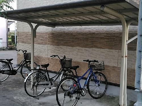 11/15 その他画像