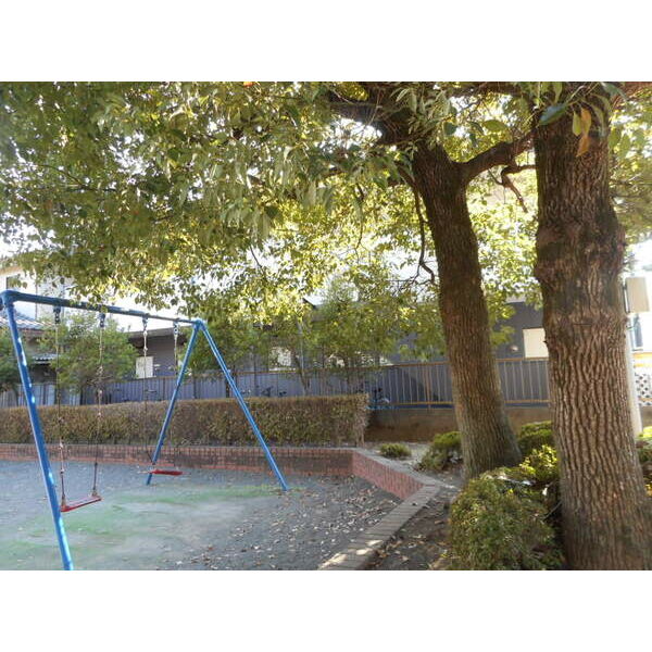 8/18 その他画像