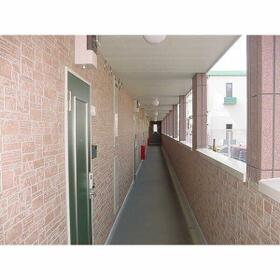 7/16 その他画像