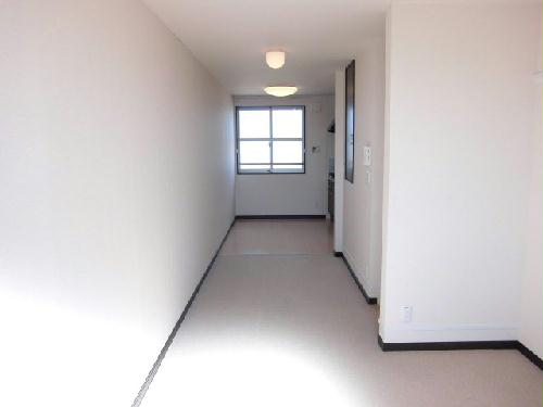 11/14 その他画像