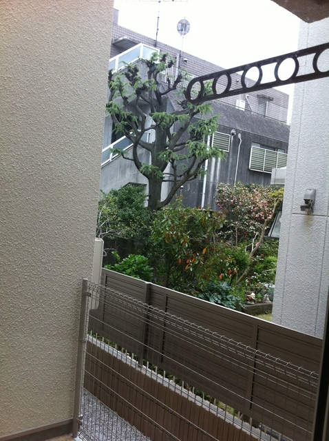 12/18 バルコニー