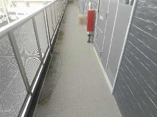 8/16 その他画像