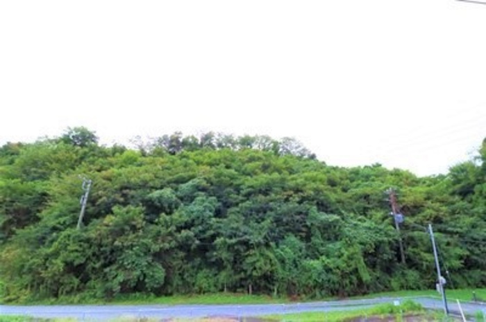 18/20 その他画像