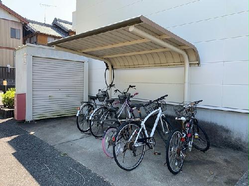 11/15 その他画像