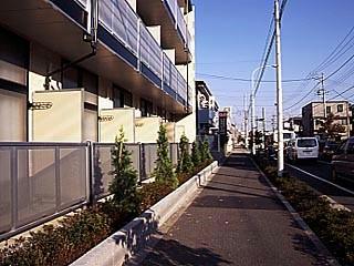 11/14 その他画像