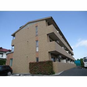 3/15 その他画像