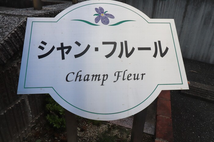 16/22 その他画像