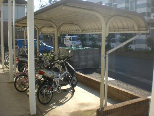 11/15 その他画像