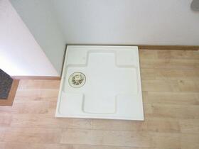 8/17 その他画像