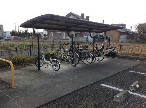 11/19 その他画像